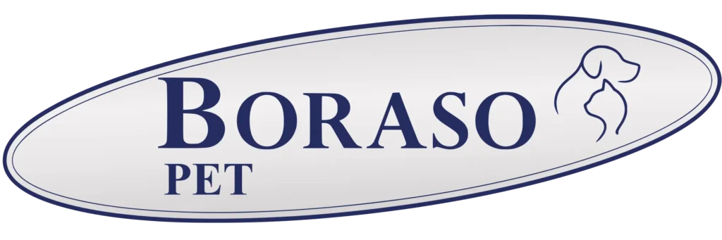 Boraso PET Logo